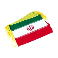 پرچم ایران مستطیلی 30*40 پارچه ای 10 عددی ریسه ای متفرقه (20 ریسه ای)