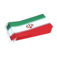 پرچم ایران مستطیلی 14*23 کاغذی 12 عددی ریسه ای متفرقه (بسته 10 ریسه ای)
