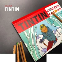 دفتر رنگ آمیزی ته چسب33*24 همیشه سری تن تن