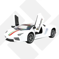 لامبورگینی اسپرت دربازشو 111A تسما (24)