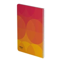 دفتر80برگ وزیری سیمی کلاسیک الیپون کد231